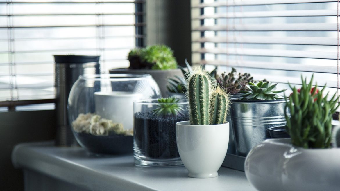 Comment trouver un bon réparateur de volets roulants et de stores ?