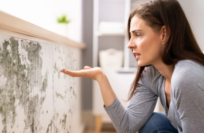 Comment traiter et prévenir les infiltrations d’eau dans votre maison ?