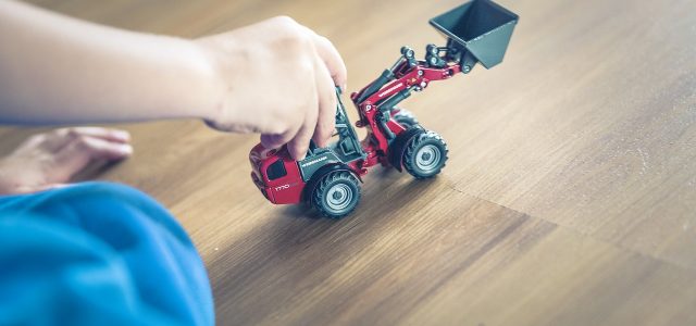 Choisir le bois pour une extension