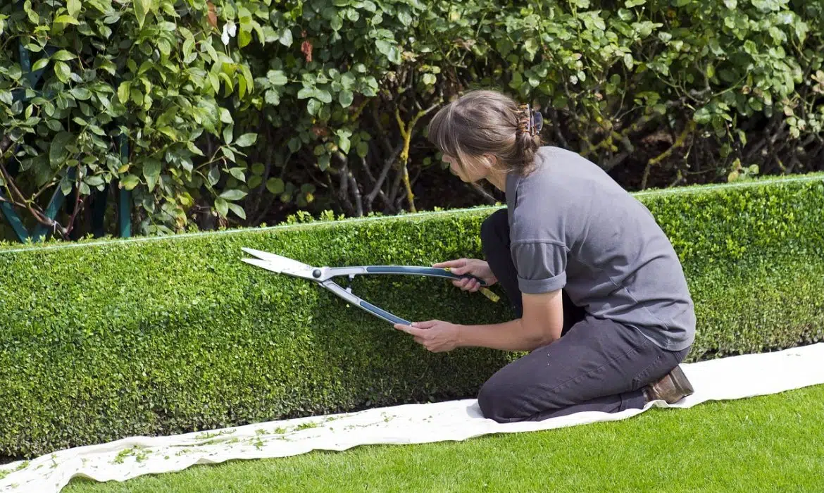 Comment payer un jardinier occasionnel ?