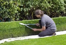 Comment payer un jardinier occasionnel ?