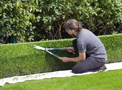 Comment payer un jardinier occasionnel ?